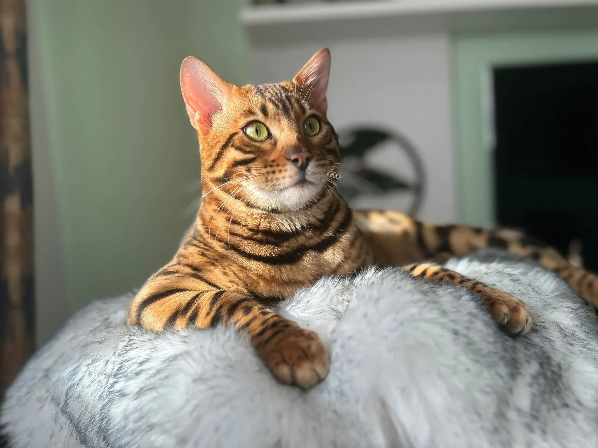 Kita