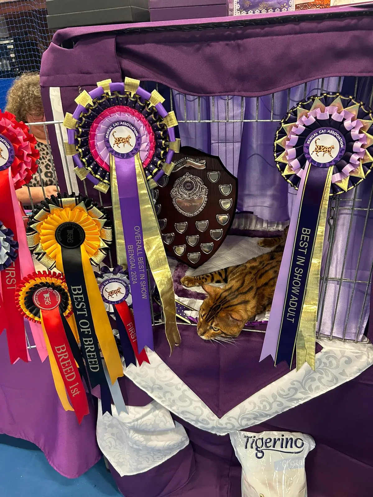 Award gallery image 4
