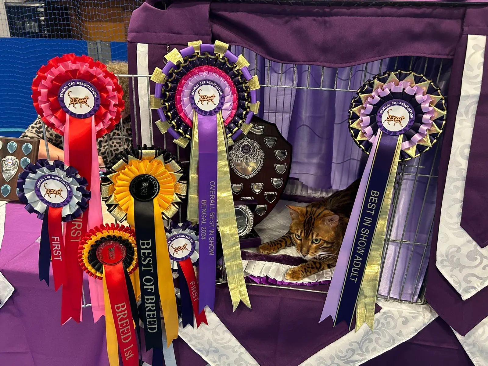 Award gallery image 6