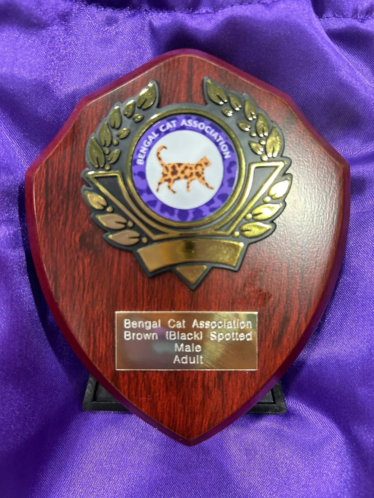 Luxury Rosettes award trophy