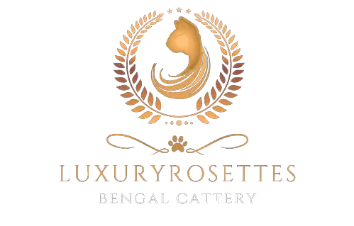 Luxury Rosettes Bengal Cattery